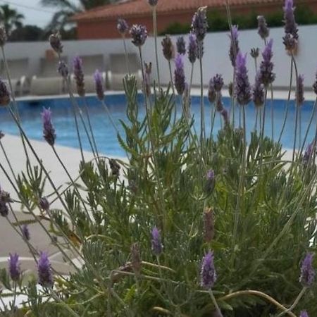 קלפה Villa Marti מראה חיצוני תמונה