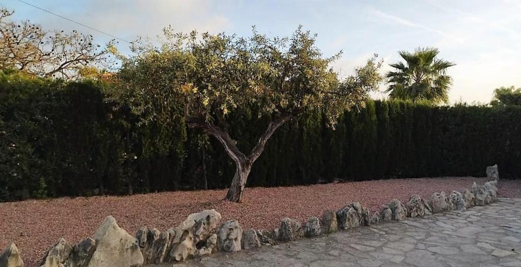 קלפה Villa Marti מראה חיצוני תמונה