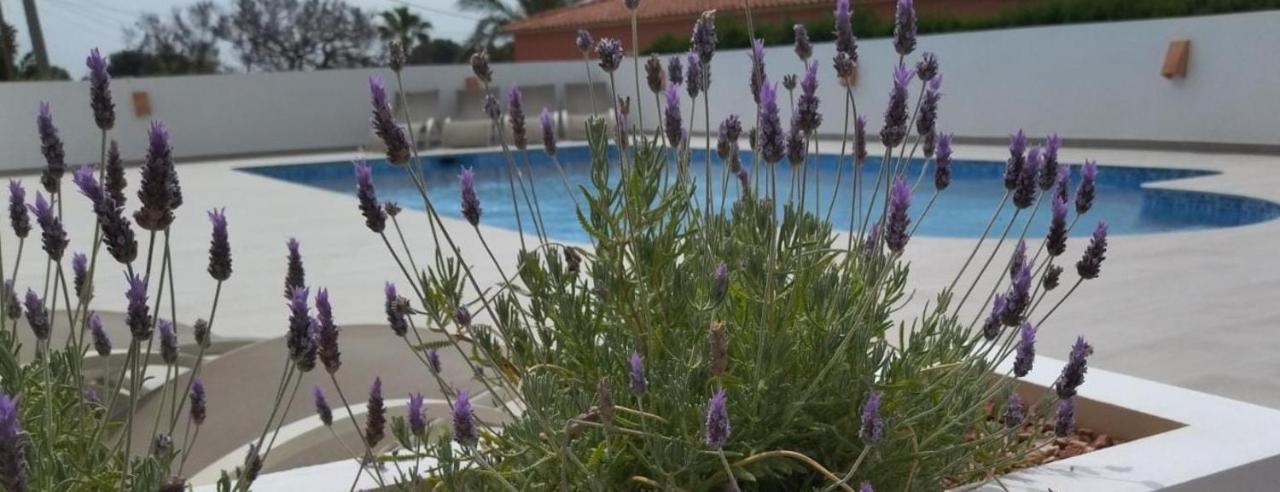 קלפה Villa Marti מראה חיצוני תמונה